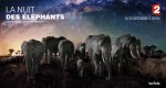 La nuit des éléphants